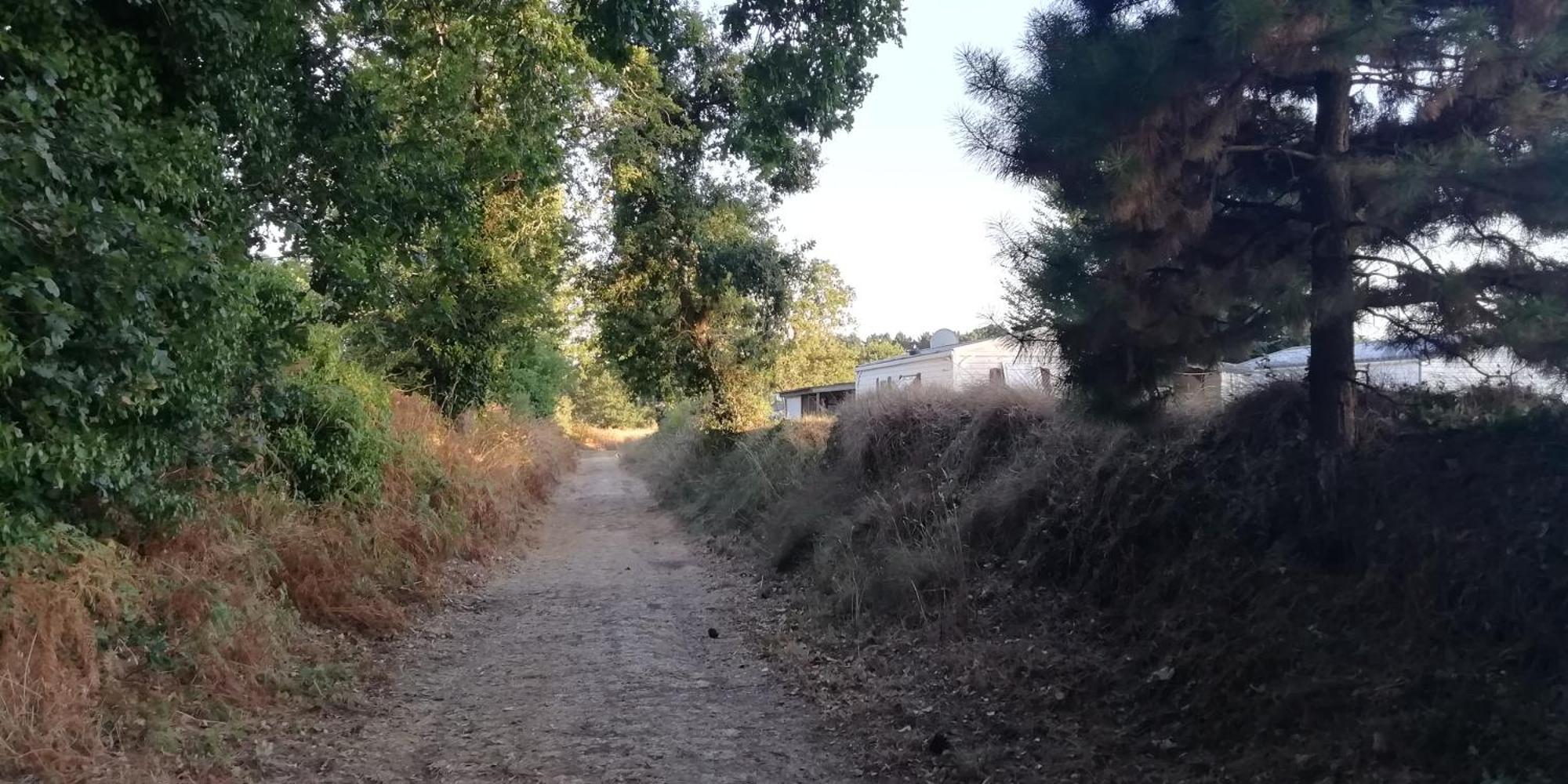 Camping Des Pierres Debout Névez Екстериор снимка